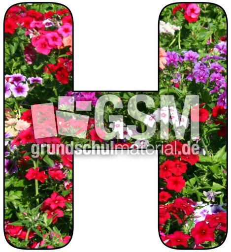 Deko-Buchstaben-Blumen_H.jpg